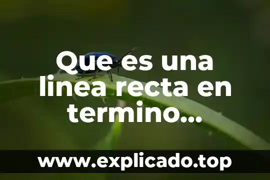 Que es punto de una recta 5 Que es una linea recta en termino matemático