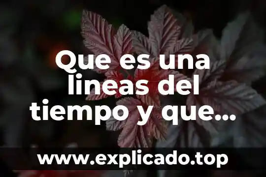 Mysql campo que es llave primaria y foranea 3 Que es una lineas del tiempo y que elementos llave