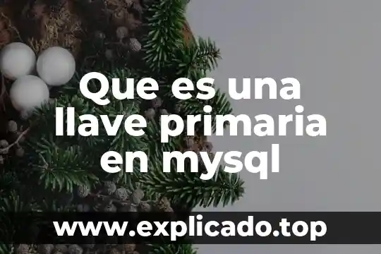 Mysql campo que es llave primaria y foranea 5 Que es una llave primaria en mysql