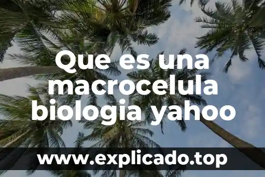 Que es la biologia universisda 4 Que es una macrocelula biologia yahoo