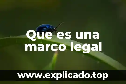 Que es marco legal de un pae 4 Que es una marco legal