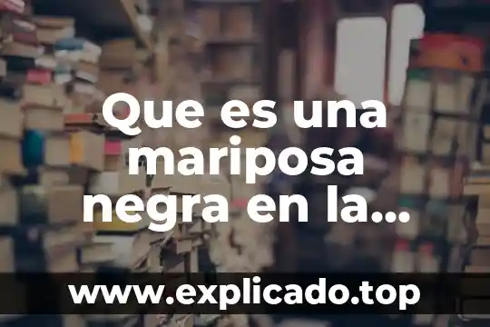 Que es el efecto mariposa psicologia 3 Que es una mariposa negra en la casa