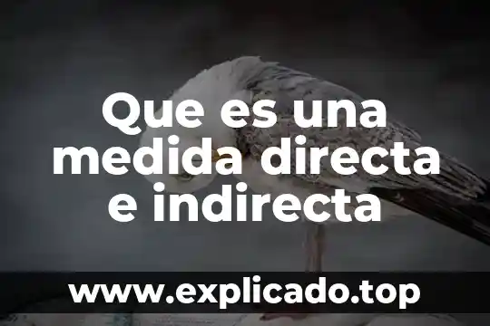 Que es sistemas internacional de medida 5 Que es una medida directa e indirecta
