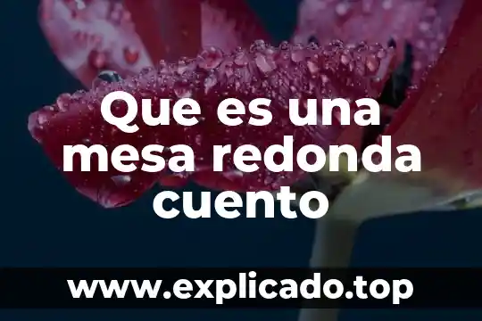 Pinza punta redonda que es 6 Que es una mesa redonda cuento