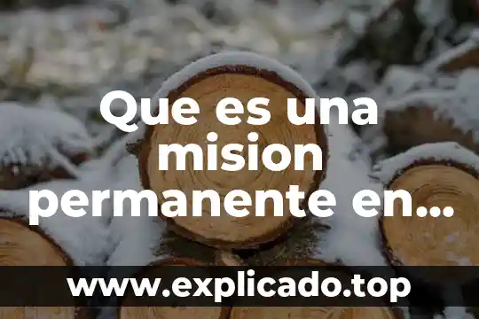 Que es el establecimiento permanente en mexico 4 Que es una mision permanente en derecho