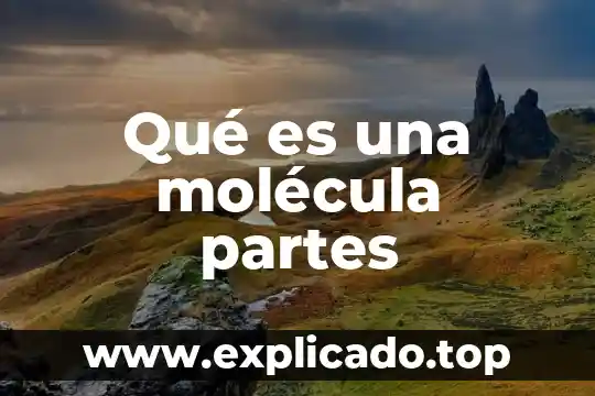 Que es el pantalla y sus partes 6 Qué es una molécula partes