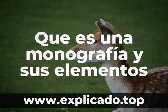 Qué es y para qué sirve la monografía 5 Que es una monografía y sus elementos