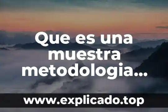 Que es una muestra metodologia de investigacion