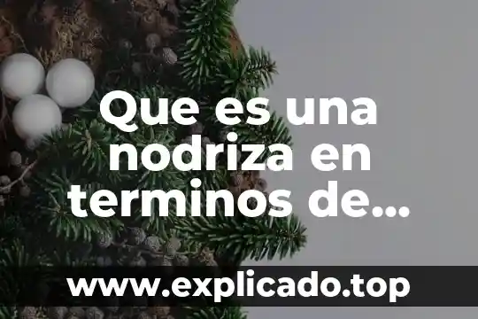 Que es el desarrollo sus trackid sp-006 6 Que es una nodriza en terminos de transporte trackid sp-006