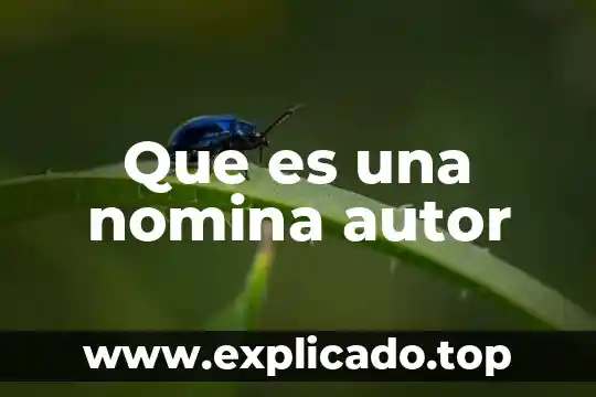 Que es una tarjeta de nomina banorte 4 Que es una nomina autor