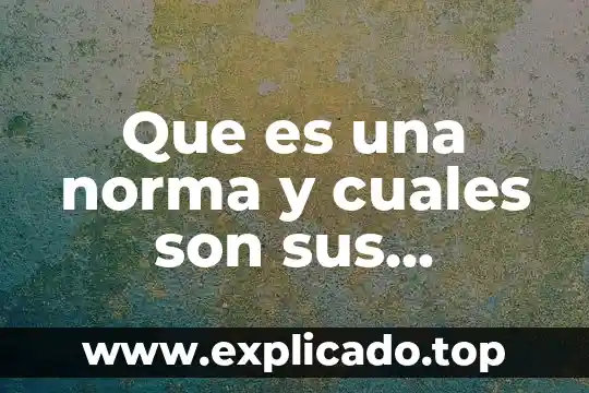 Qué es el derecho y cuáles son sus ramas 7 Que es una norma y cuales son sus caracteristicas