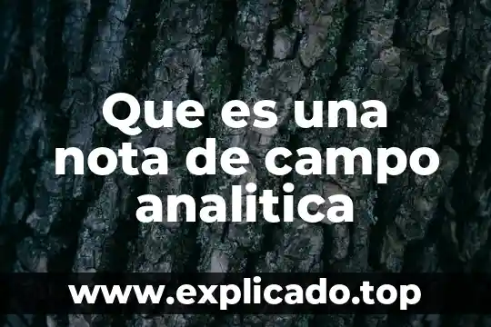 Que es el valor aproximado en quiica analitica 3 Que es una nota de campo analitica