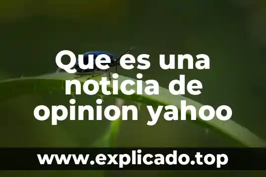 Que es una opinión con ejemplos 8 Que es una noticia de opinion yahoo