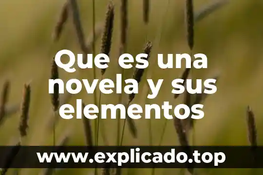 Que es una novela objetivo 5 Que es una novela y sus elementos