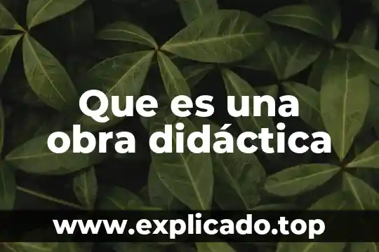 Que es un acto en una obra 5 Que es una obra didáctica