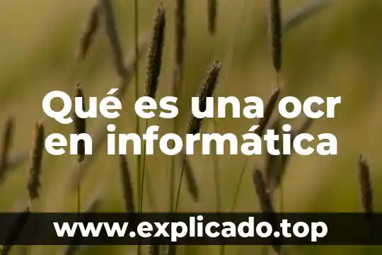 Que es fthernal en informatica 8 Qué es una ocr en informática