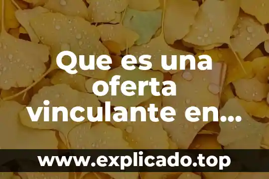 Qué es la oferta pública en mercado de dinero 5 Que es una oferta vinculante en los creditos bancarios