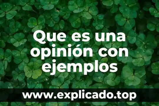 Que es un ensayos llevan opinion personal 8 Que es una opinión con ejemplos