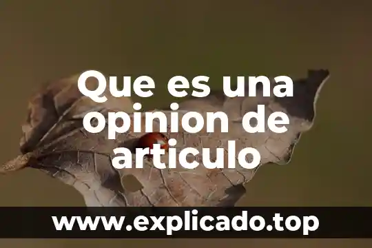 Que es una opinión con ejemplos 5 Que es una opinion de articulo