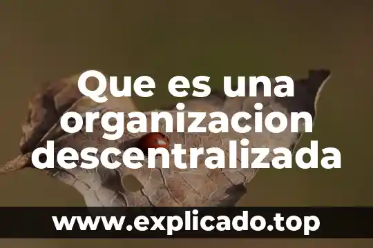 Lo que es en la organización descentralizada y descentralizada 4 Que es una organizacion descentralizada