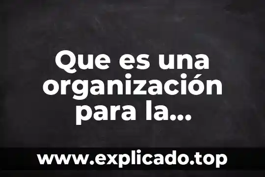 Que es upss en salud 6 Que es una organización para la atención de la salud