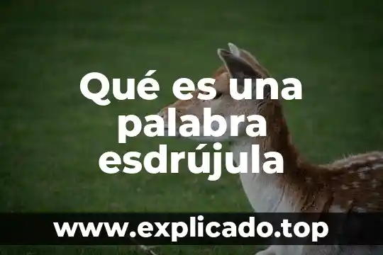 Qué es la palabra bioma 8 Qué es una palabra esdrújula