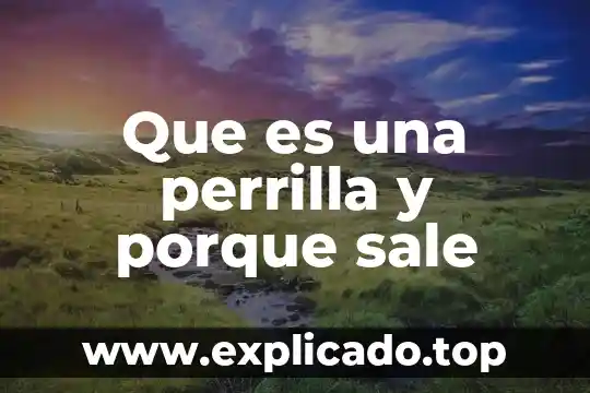 Que es el genoma humano y porque es importante 8 Que es una perrilla y porque sale
