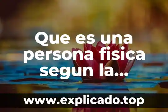 Que es la fisica su historia y derivados 7 Que es una persona fisica segun la constitucion
