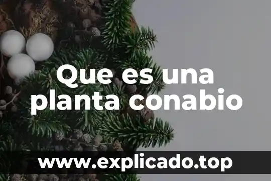 Que es comburente y ejemplo 8 Que es una planta conabio