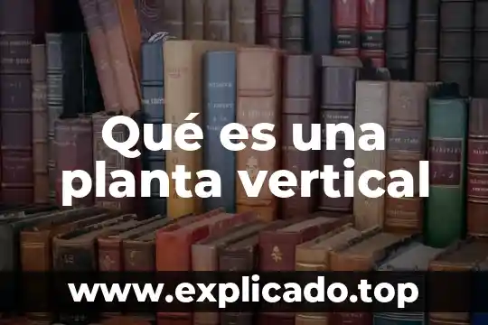 Que es una reflexión vertical en funcion racional 5 Qué es una planta vertical