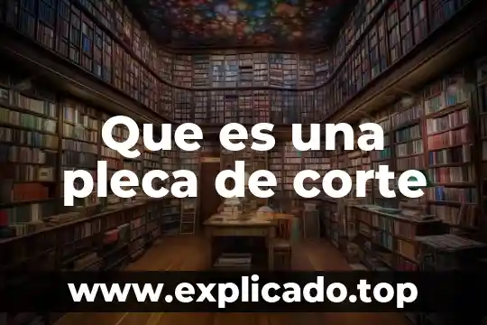 Que es el corte carre de cerdo 6 Que es una pleca de corte