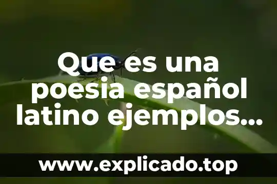 Que es la poesia barroca y sus caracteristicas 8 Que es una poesia español latino ejemplos para niños