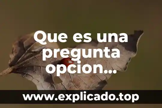 Que es una pregunta opcion multiple sexto grado definicion