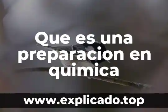 Que es excel y quienes lo utilizan mas 7 Que es una preparacion en quimica