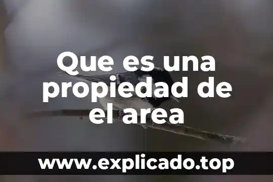 Que es magnetismocomo propiedad de la materia 3 Que es una propiedad de el area