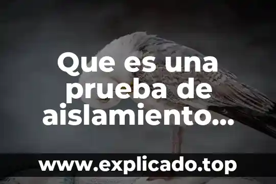 Que es una prueba de aislamiento eléctrico