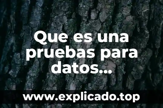 Letra que es de los conjuntos numéricos enteros 3 Que es una pruebas para datos numericos