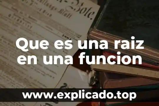 Que es una raiz en una funcion