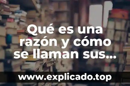 Qué es la razón social o nombre 6 Qué es una razón y cómo se llaman sus componentes