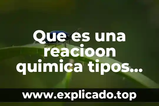 Que es una reacioon quimica tipos de reacciones