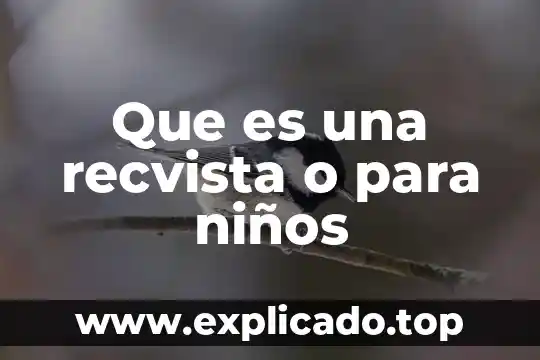 Que es el latín para niños 7 Que es una recvista o para niños