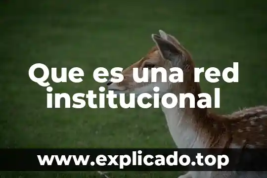Que es una red institucional