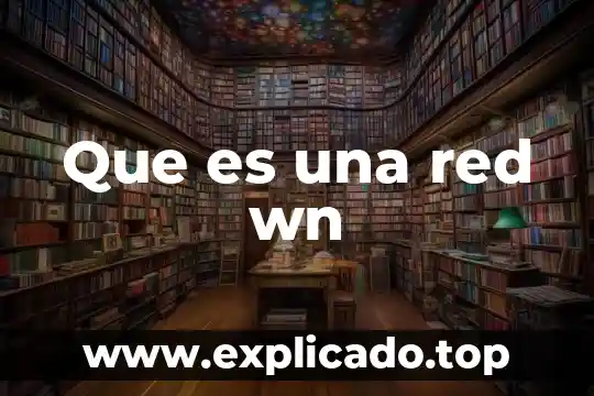 Que es una red wn