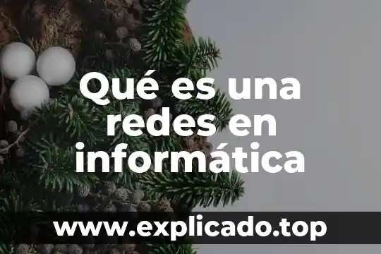 Que es alcance en unas politicas de seguridad informatica 7 Qué es una redes en informática