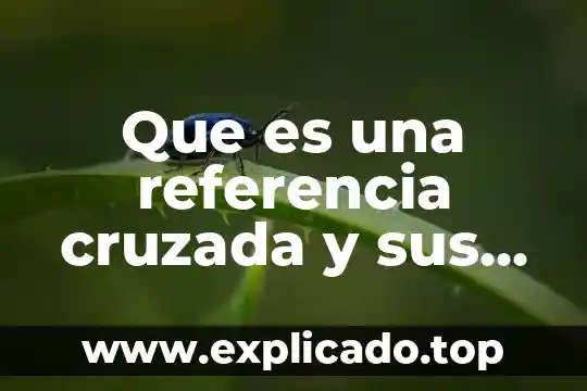Por que es importante el metodo de estria cruzada 6 Que es una referencia cruzada y sus caracteristicas
