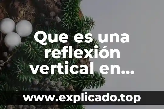 Qué es la asíntota vertical de una función 3 Que es una reflexión vertical en funcion racional