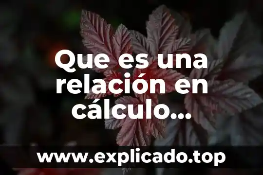 Que es relacion temporal 8 Que es una relación en cálculo diferencial