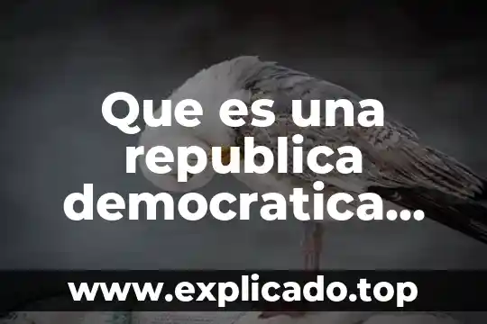 Que es republica en derecho romano 4 Que es una republica democratica ejemplos