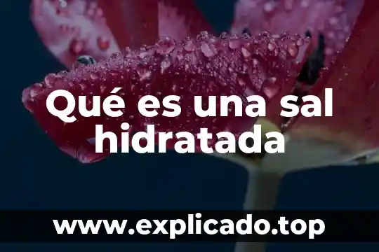 Que es mas refinada la sal o la azucar 6 Qué es una sal hidratada