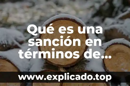 Qué es la finca en términos comerciales 7 Qué es una sanción en términos de contabilidad